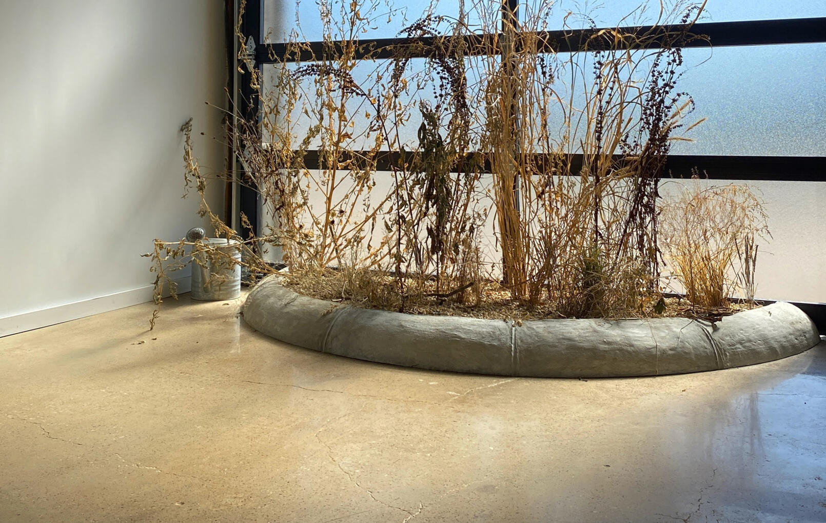 Omphalos Ave. 2021, concrete, weeds